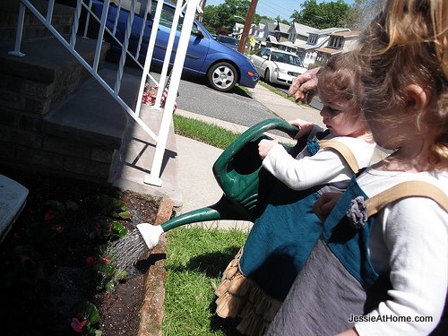 Helping-Vera-water-flowers