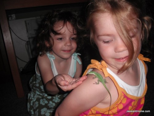 playing-with-Princess