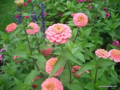 Lynch-Park-Beverly-2011