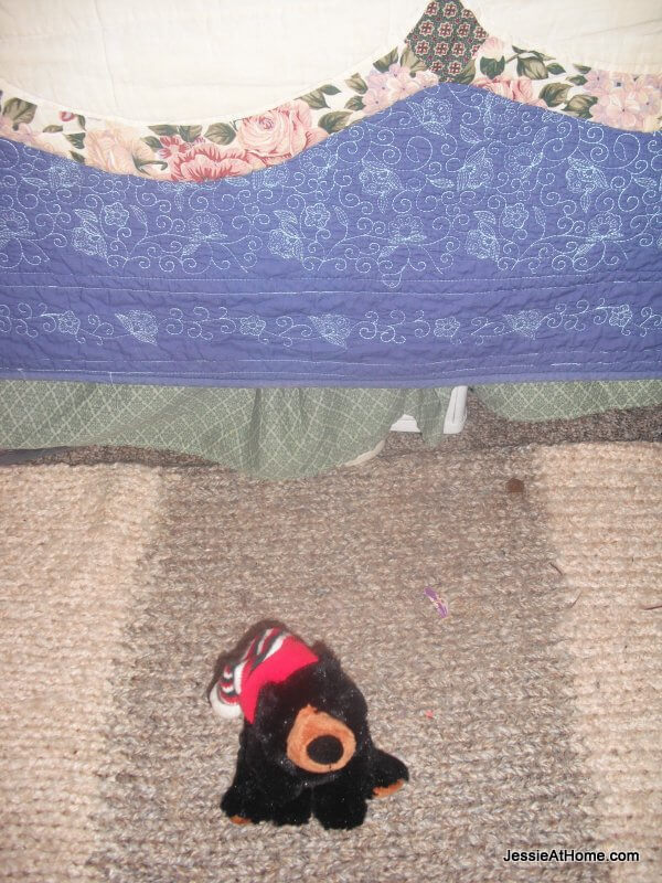 Bear-is-protecting-us