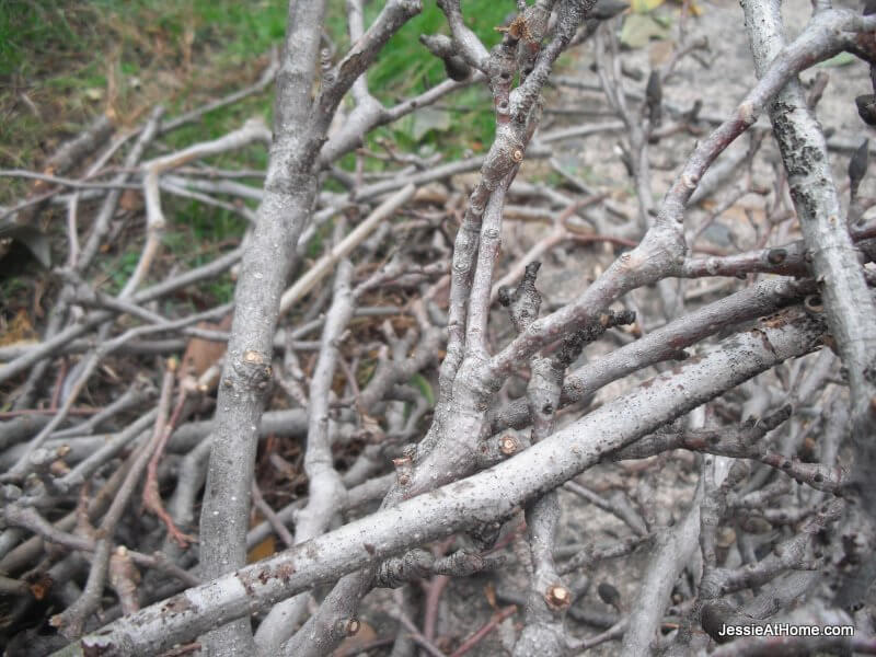 yard-work-sticks