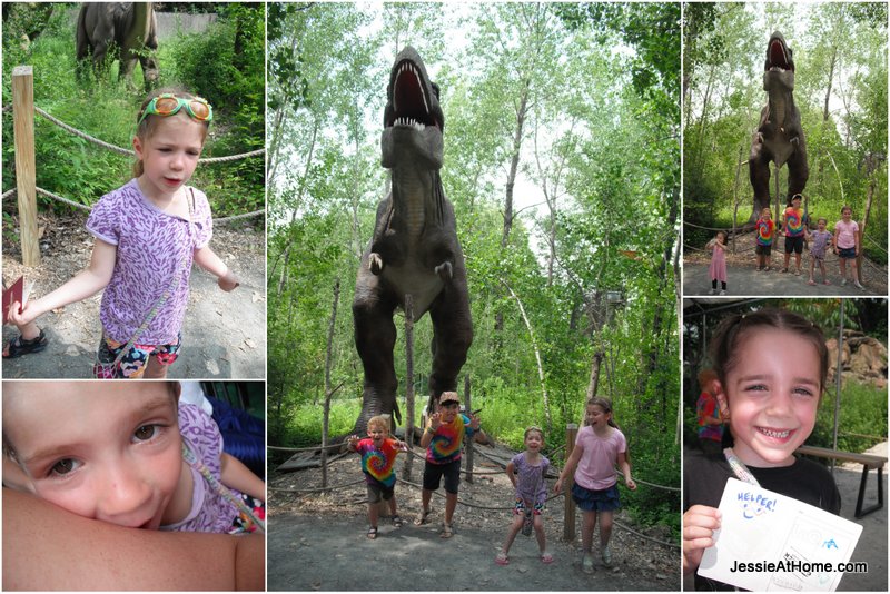 silliness-Field-Station-Dinosaurs-13