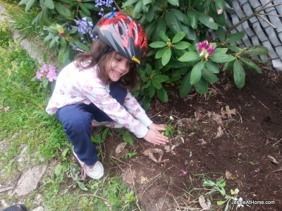 Vada-Planting