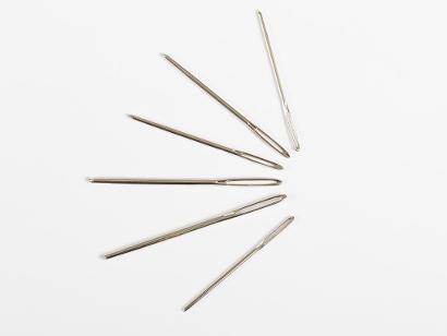 Lion Brand 6 Large-Eye Blunt Needles