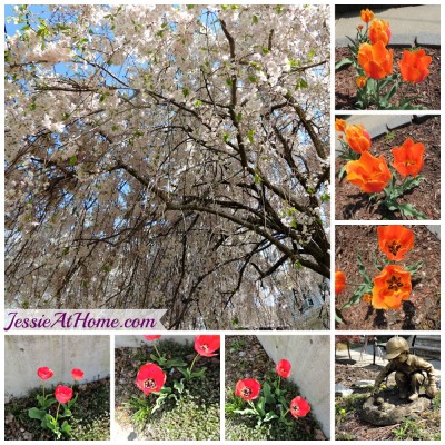 Nature-Camera-Test-2015