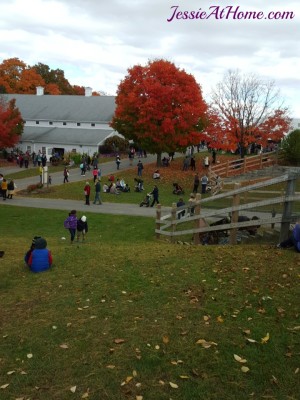 Rhinebeck-beauty-2015