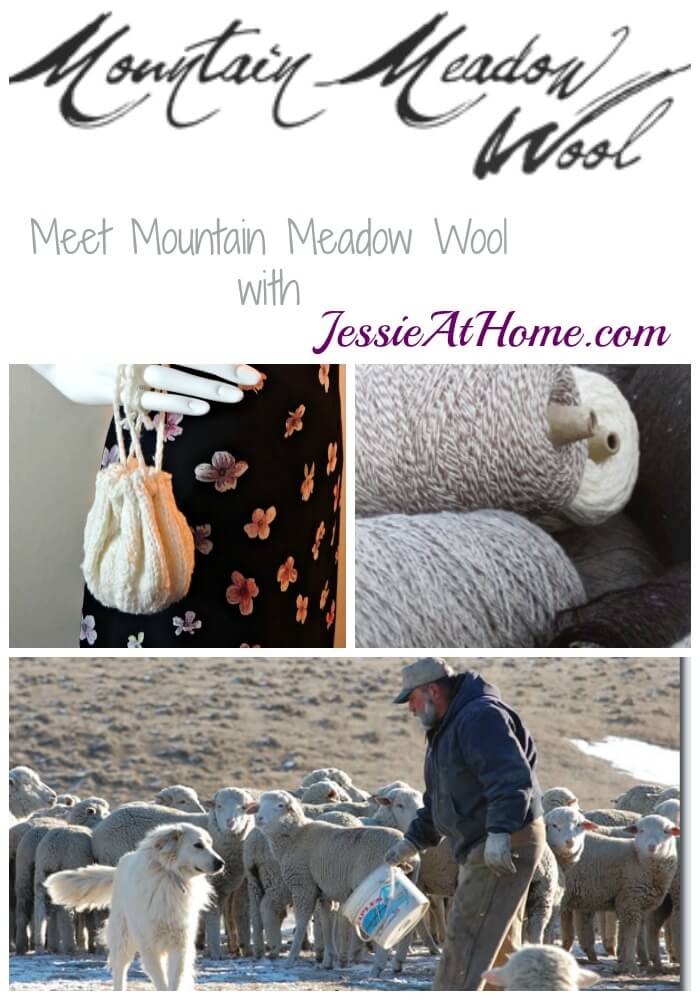 Meet Mountain Meadow Wool with Jessie At Home