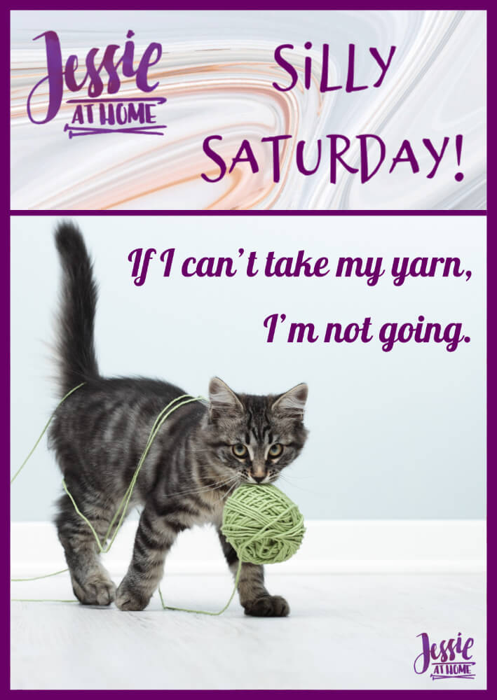 I’m Taking My Yarn – Silly Saturday