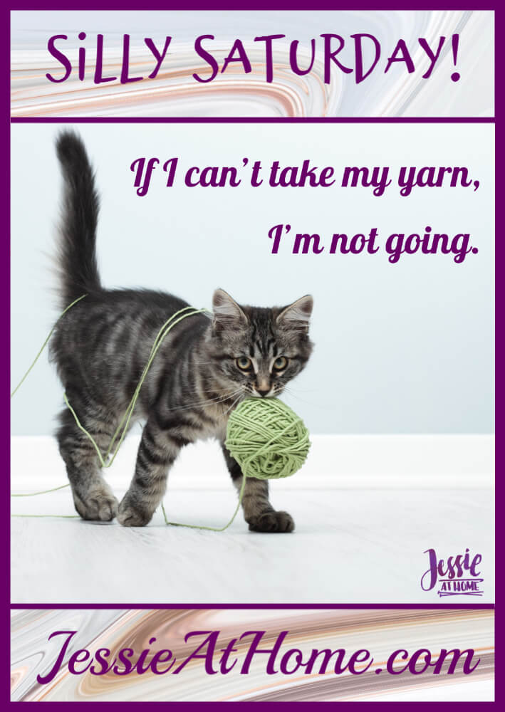 I’m Taking My Yarn – Silly Saturday