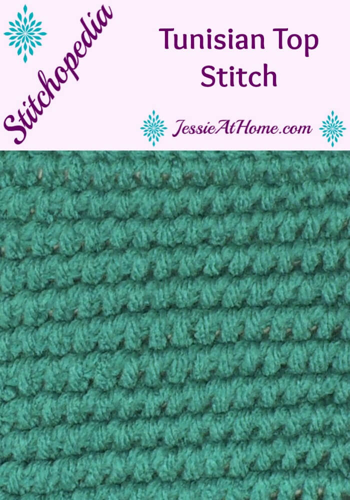 Stitchopedia - Tunisian Top Stitch