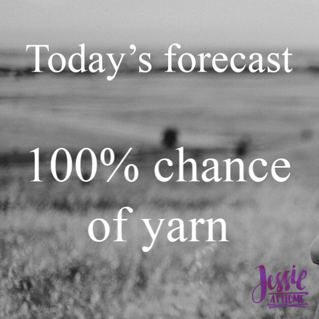 yarnie forecast