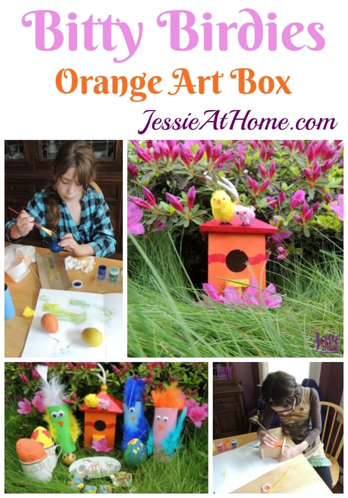 May Orange Art Box Projects - Bitty Birdies!