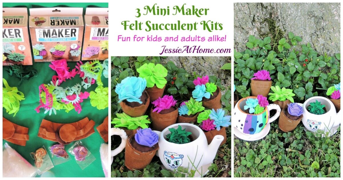 3 Mini Maker Felt Succulent Kits Fun for kids and adults Jessie At Home