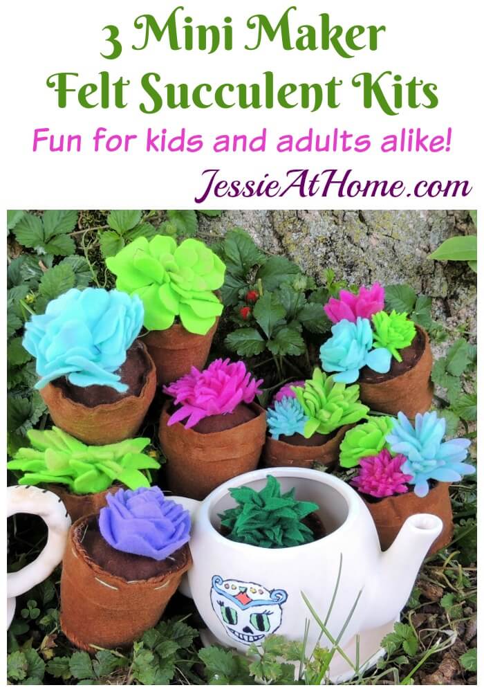 3 Mini Maker Felt Succulent Kits - Fun for kids and adults alike!