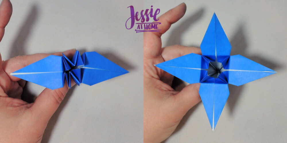 Origami Iris A beautiful, dimensional flower that is sure to impress!