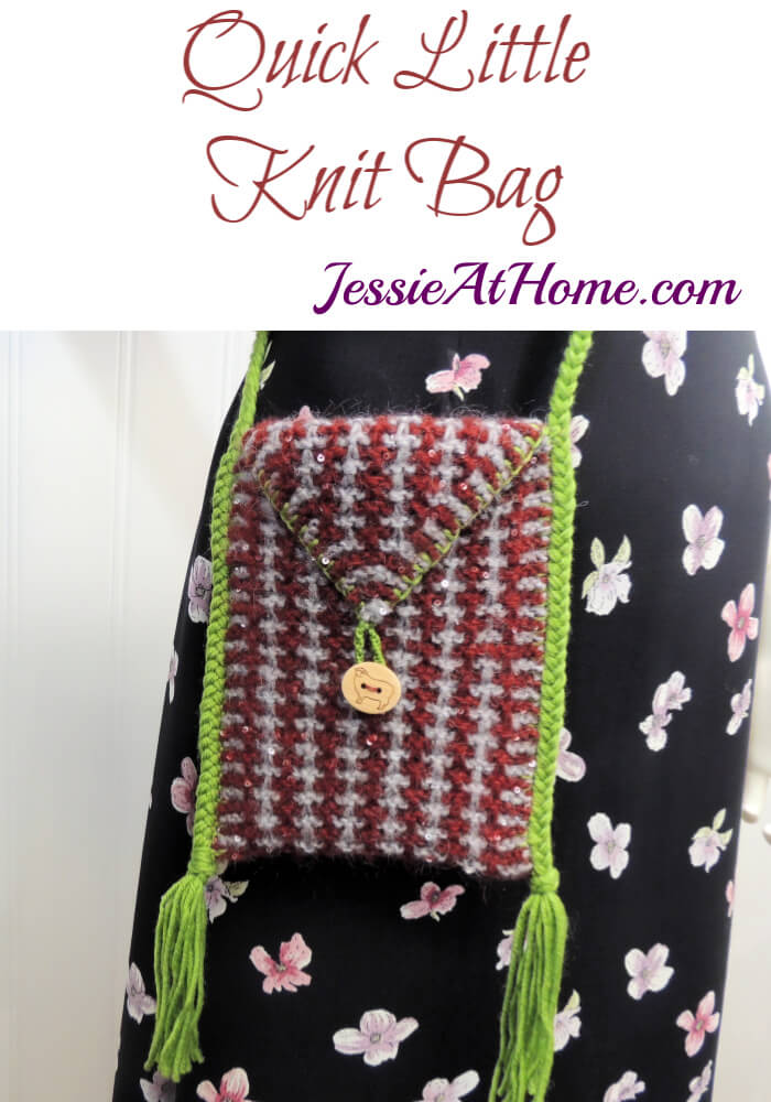 Quick Little Knit Bag - A sparkly, fun, and fabulous quickie for you!