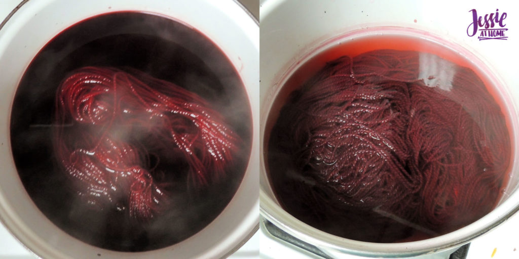 Dyeing Yarn with Jessie At Home - Protein Yarn and Acid Dye - Galileo - Fire Red Solid - Dyeing