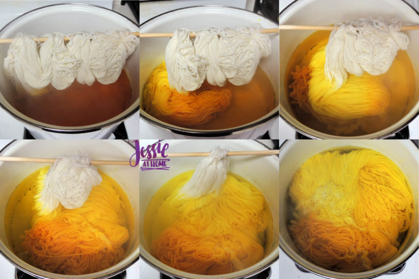 Dyeing Yarn with Jessie At Home - Protein Yarn and Acid Dye - Whims - Sun Yellow Hombre - Dyeing