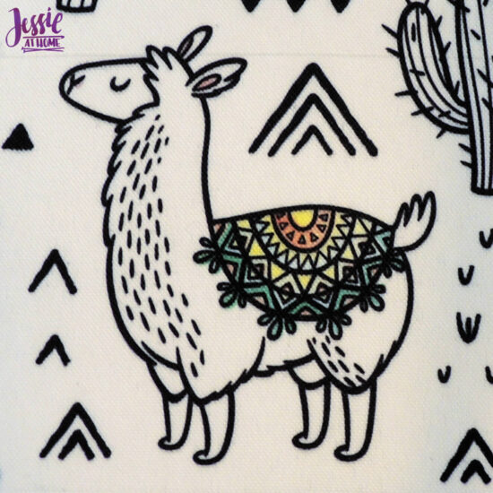 Cute Little Llama