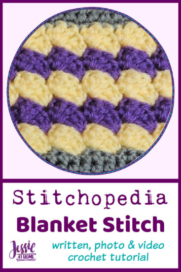 Blanket Stitch Stitchopedia Crochet Video Tutorial - Pin 2
